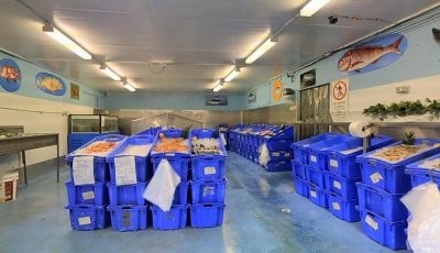 PKG Seafoods Fresh Seafood and Takeaway 3D Model